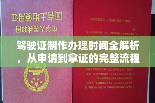 西沙驾驶证制作办理时间全解析，从申请到拿证的完整流程