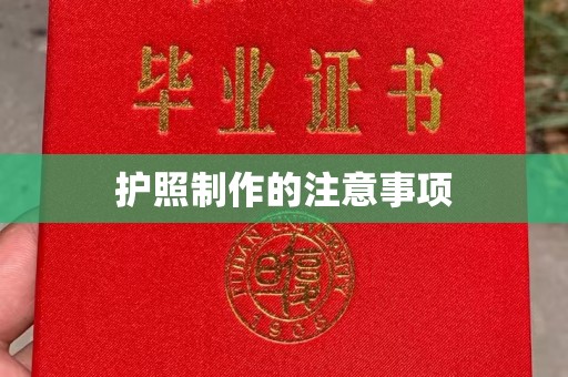西沙护照制作的注意事项