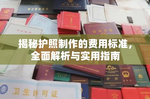 西沙揭秘护照制作的费用标准，全面解析与实用指南