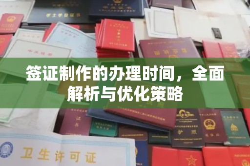 西沙签证制作的办理时间，全面解析与优化策略
