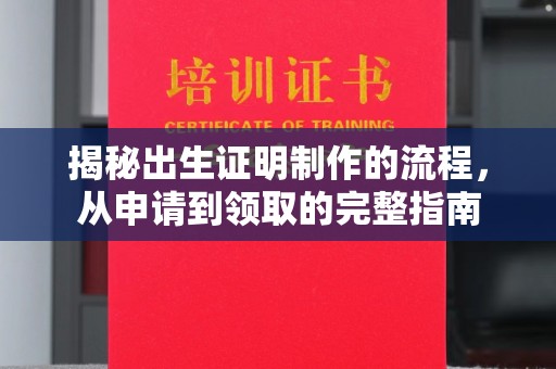 西沙揭秘出生证明制作的流程，从申请到领取的完整指南