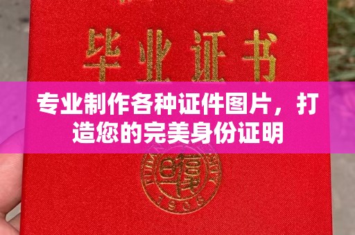 西沙专业制作各种证件图片，打造您的完美身份证明