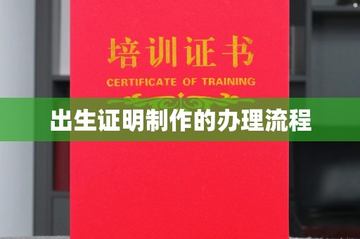 西沙出生证明制作的办理流程