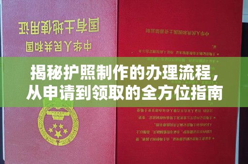 西沙揭秘护照制作的办理流程，从申请到领取的全方位指南
