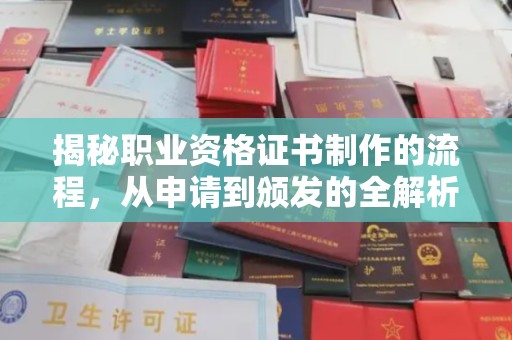 西沙揭秘职业资格证书制作的流程，从申请到颁发的全解析