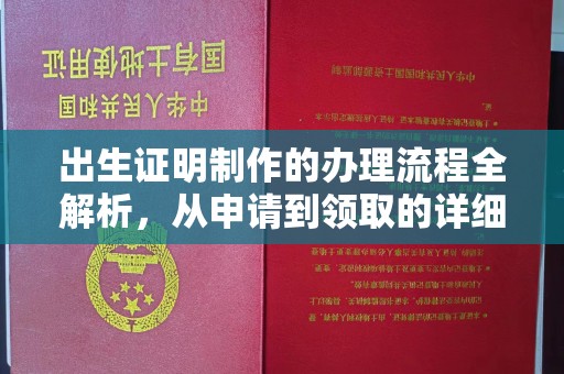 西沙出生证明制作的办理流程全解析，从申请到领取的详细指南