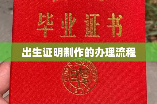 西沙出生证明制作的办理流程