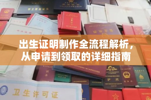 西沙出生证明制作全流程解析，从申请到领取的详细指南
